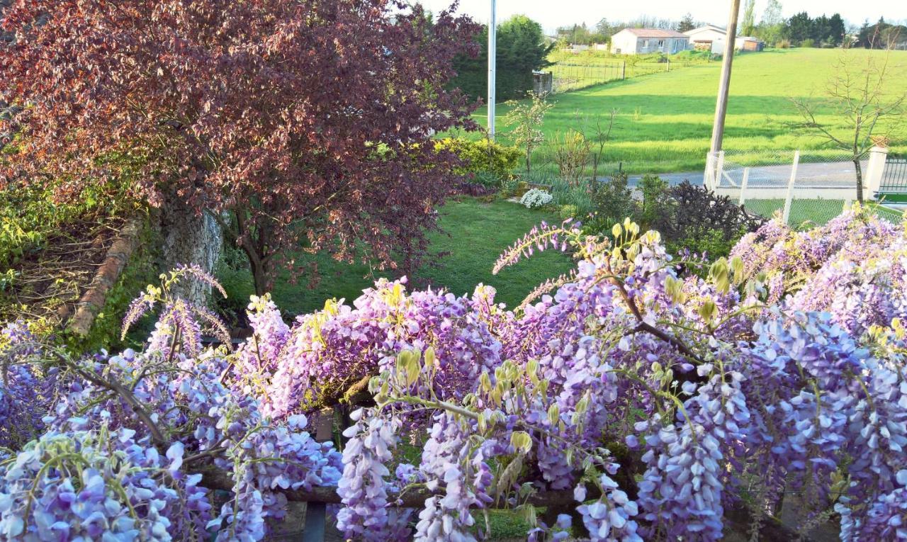 Les Glycines Bed & Breakfast Эиме Экстерьер фото